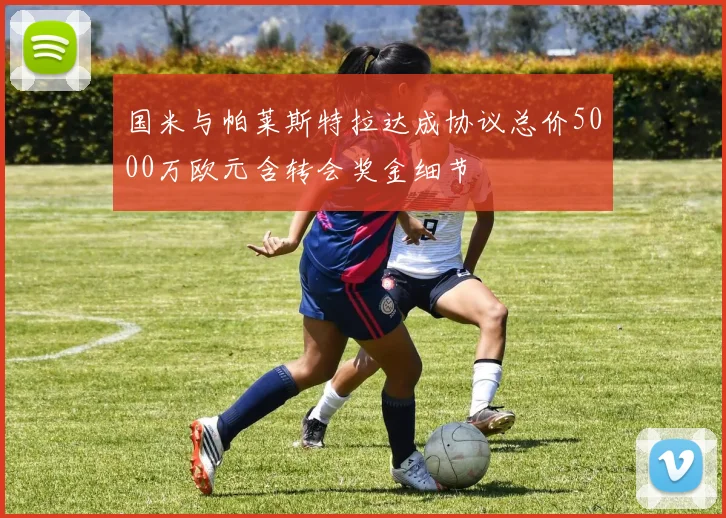 国米与帕莱斯特拉达成协议总价5000万欧元含转会奖金细节
