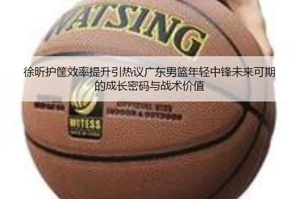 徐昕护筐效率提升引热议广东男篮年轻中锋未来可期的成长密码与战术价值